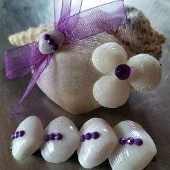 Seashell hair clip