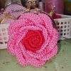 Coin purse